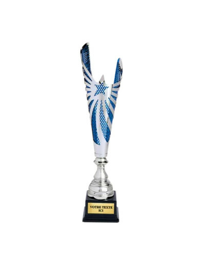 Coupe classique argent/bleu(e) haut