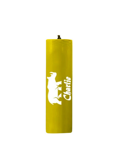 Sac de plaquage rugby junior