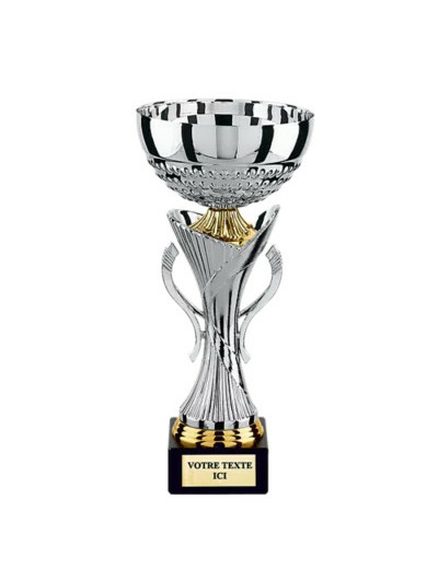 Coupe argent h.30cm bol diam140mm
