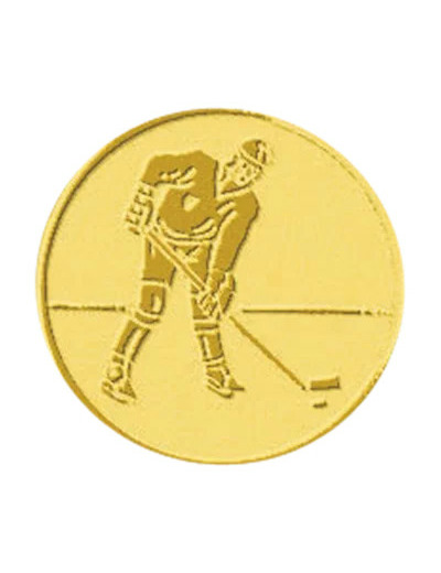 Pb 53 hockey glace alu 25mm