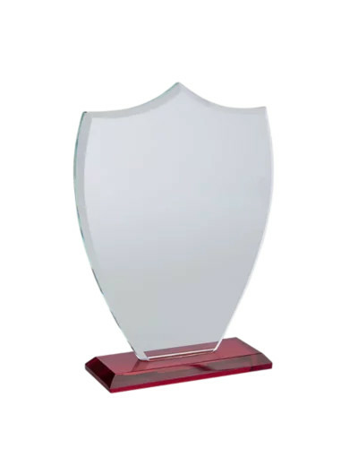 Trophee verre et bois personnalisab