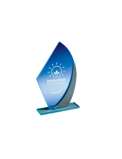 Trophee verre epaisseur 4mm h.21cm