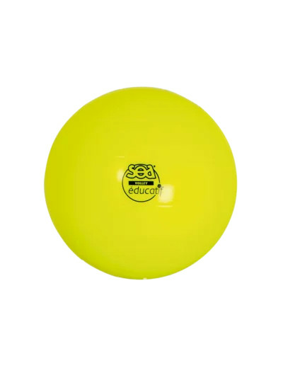 Ballon de volley educatif sea