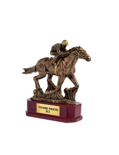 Trophee resine discipline bronze eq