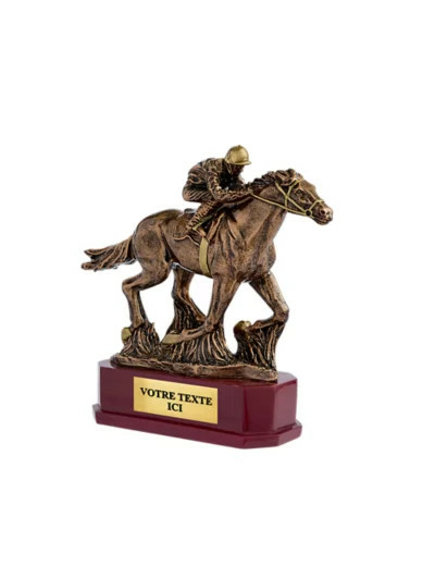 Trophee resine discipline bronze eq