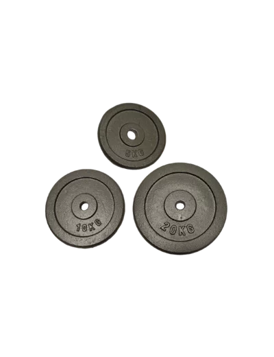 Poids disque en fonte 10 kgs