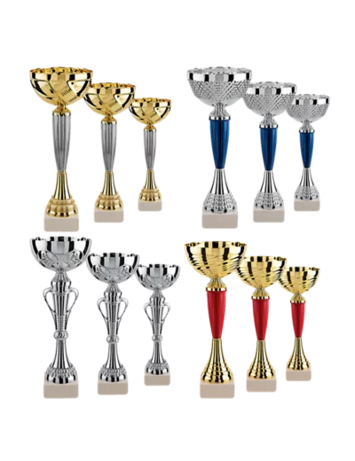 Lot de 12 coupes  h moy 27,50cm