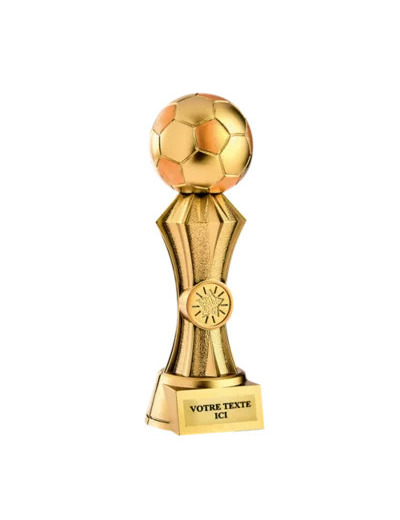 Trophee resine discipline or footba