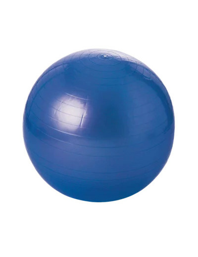 Balle gymnique - 55 cm