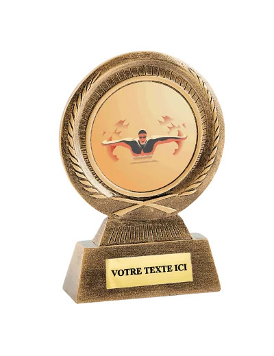 Trophee resine discipline bronze eq