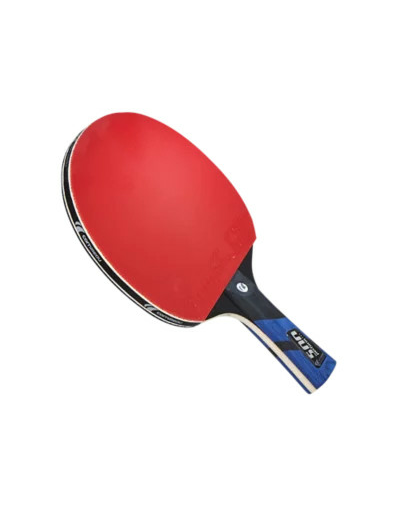 Raquette de ping pong perform 500