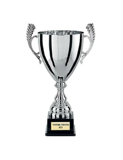 Coupe argt 44cm bol diam180mm