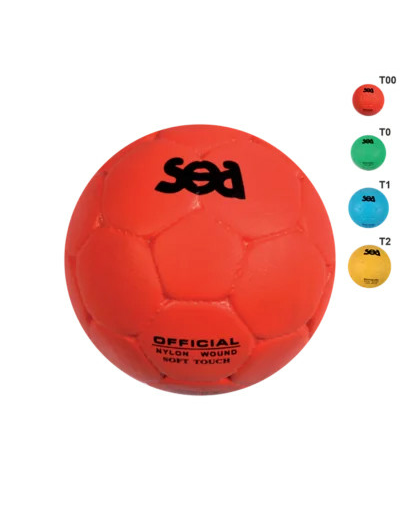 Ballon school composite sea