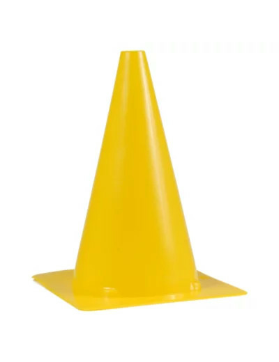 Cone simple sea