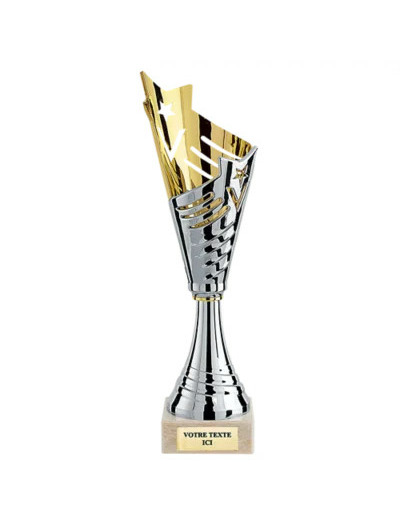 Trophee plastique etoile h. 32cm