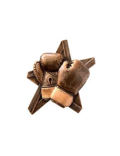 Applique resine etoile boxe hauteur