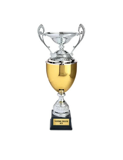 Coupe prestige argent/or hauteur 55