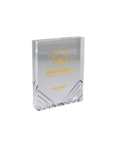 Trophee acrylique personnalisable t