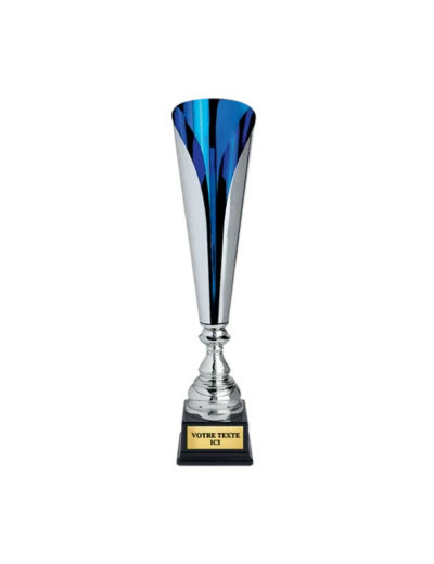 Coupe classique argent/bleu(e) haut