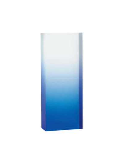 Trophee acrylique personnalisable b