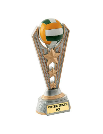 Trophee resine volley h. 24 cm
