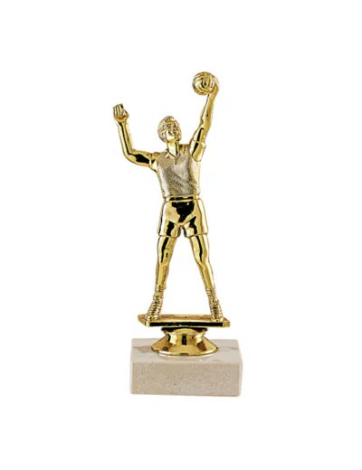 Trophee sujet plas or volley h 17cm