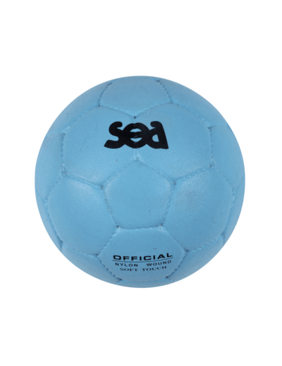 Ballon school composite sea