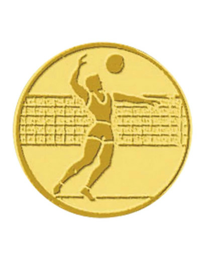 Pa 104 volley homme alu 50mm
