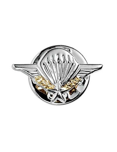 Brevet parachutisme petit modèle