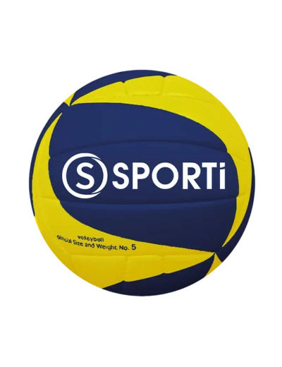Ballon de volley-ball entraînement