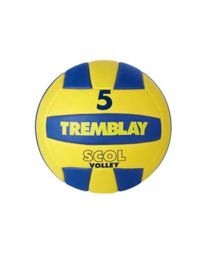 Ballon volley  scolaire taille 5