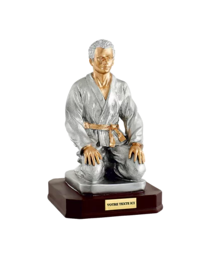 Trophee resine judo homme h.28 cm