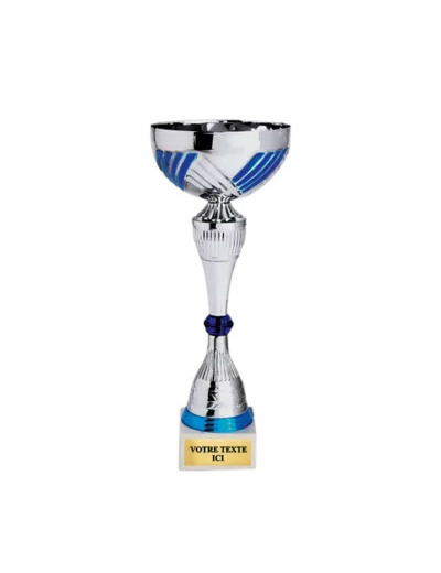 Coupe classique argent/bleu(e) haut