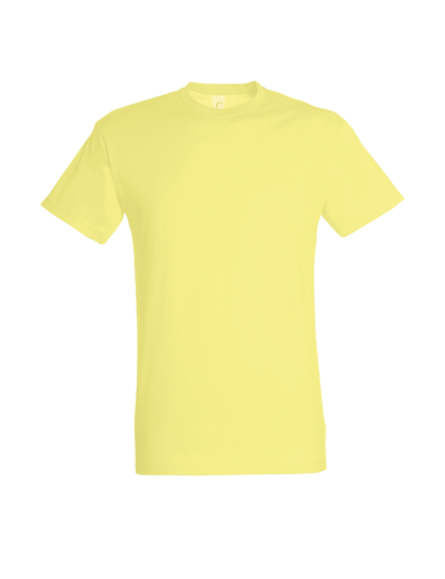 Couleur-86bf11b5-2338-4499-884d-6d9cd5313af8