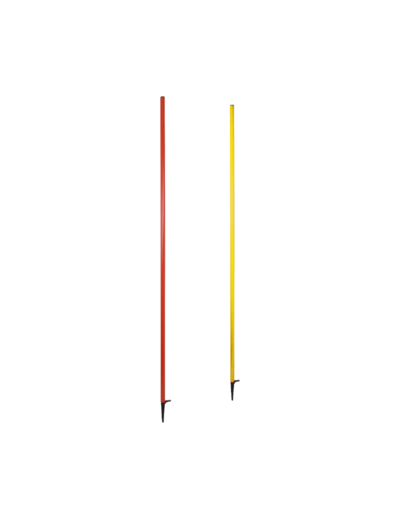 Piquet de slalom école