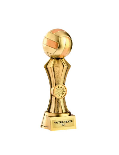 Trophee resine discipline or volley