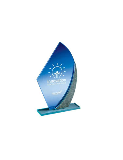 Trophee verre epaisseur 4mm h.21cm