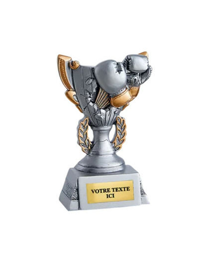 Trophee resine discip sp de combat h11cm