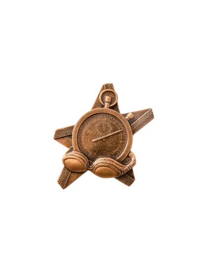 Applique resine etoile natation hau