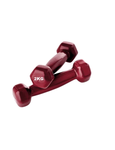 Haltere - 2 kg x 2