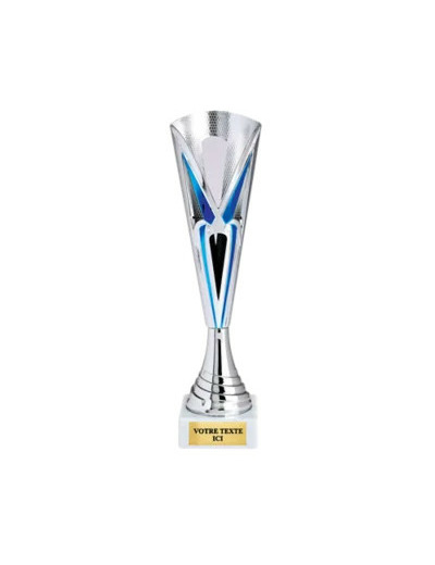 Coupe economique argent/bleu(e) hau