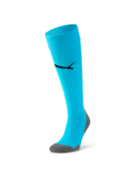 Bleu atoll/noir puma