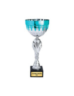 argent/bleu turquoise