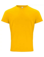 Couleur-05beb0fc-1b87-4d25-a4c3-81754b8b76e9