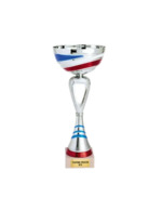 argent/bleu/blanc/rouge
