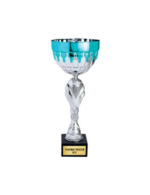 argent/bleu turquoise