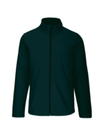 Vert bouteille