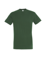 Vert bouteille
