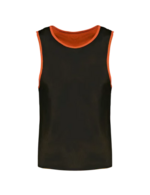 Couleur-be8cecf9-6eca-47f9-ac84-b18a3eda9a84