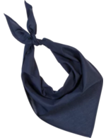 Couleur-d9edb056-651a-4542-a57a-ee2128776e67